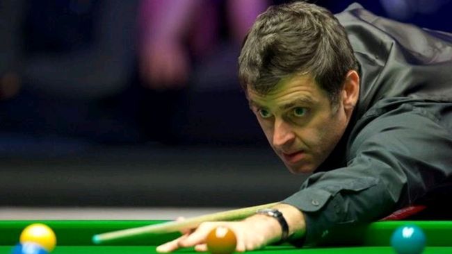 档的组合更 档的组合更